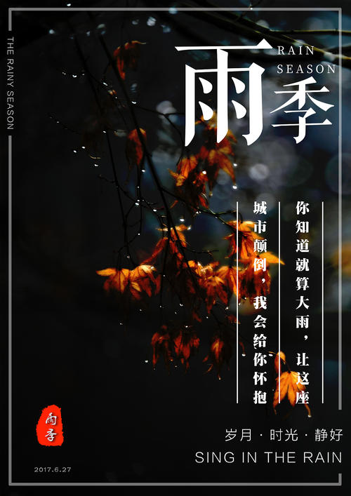 仿制假马尔代夫护照扫描件